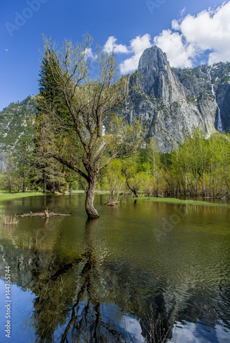 Fototapeta Naklejka Na Ścianę i Meble -  Mountain and tree reflected in lake
