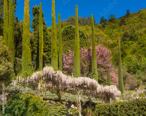 The Botanic Gardens of Trauttmansdorff Castle, Merano, south tyrol, Italy, photo