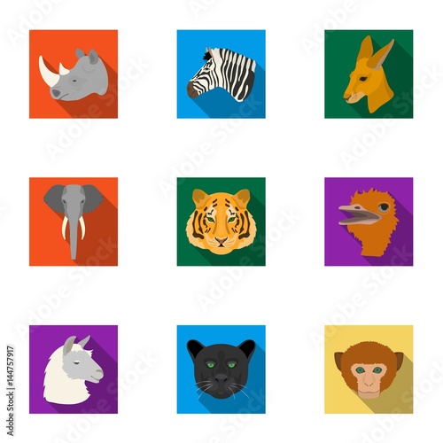 A set of icons of wild animals. Predatory and peaceful wild animals.Realistic animal icon in set collection on flat style vector symbol stock illustration. photo