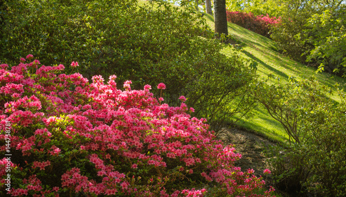 The Botanic Gardens of Trauttmansdorff Castle, Merano, south tyrol, Italy, photo