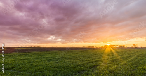 Sunrise in the field (light) © Piotr