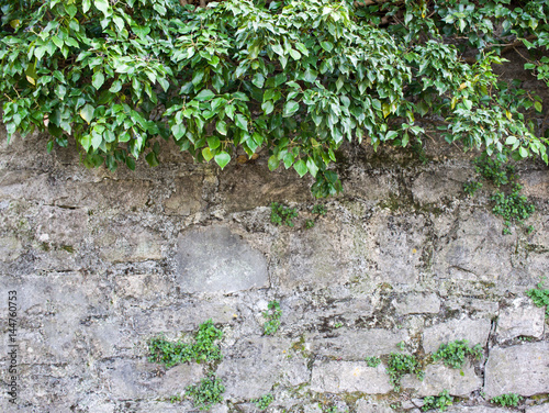 Stone wall background © mariarom