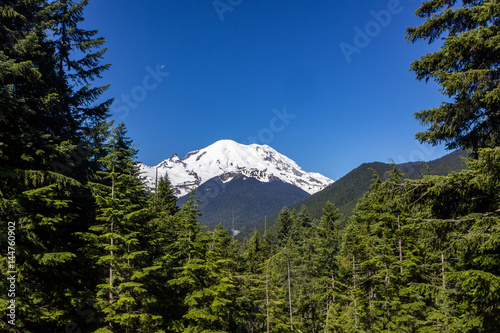 Mt. Rainier 