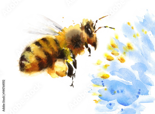 Watercolor Honey Bee Flying Over Blue Flower Hand Painted Summer Illustration isolated on white background