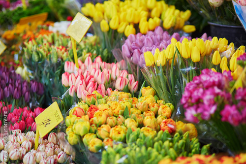 Variety of tulips on flower market