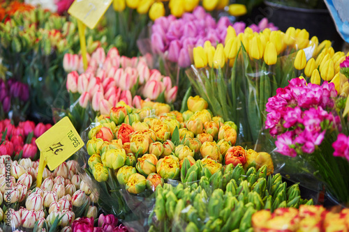 Variety of tulips on flower market