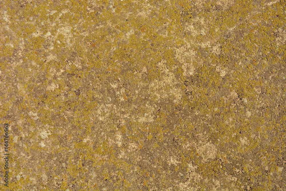 Photo of an old grunge cement wall texture Photo of an old grunge cement wall texture
