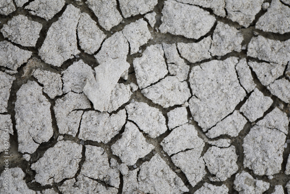 Cracked earth. Abstract texture for background Cracked earth. Abstract texture for background
