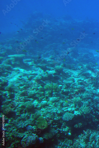 Sea deep or ocean underwater with coral reef as a background © Evdoha