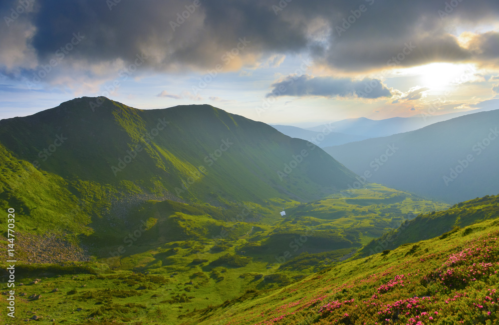 Fototapeta premium Summer mountains