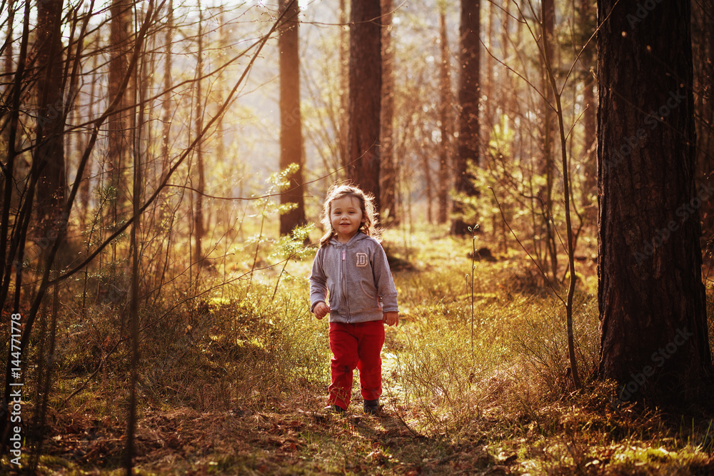 girl on a walk in the forest
girl on a walk in the forest