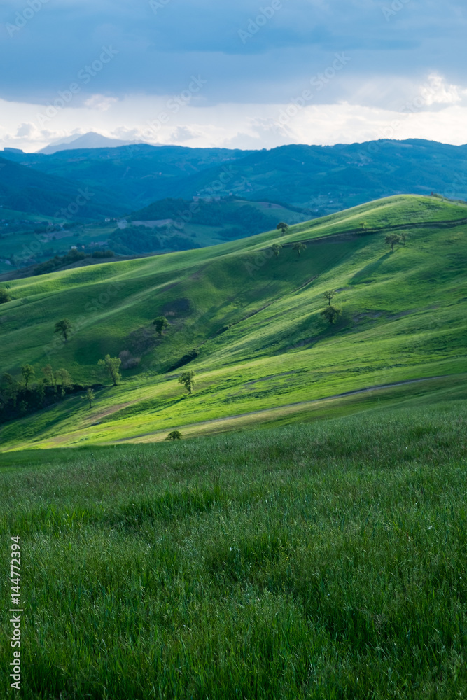 Fototapeta premium Panorama collinare in Appennino