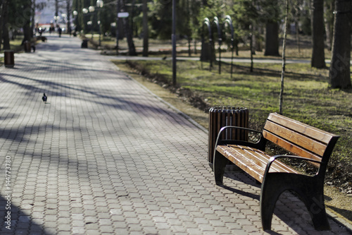 Bench in the park near the alleyway