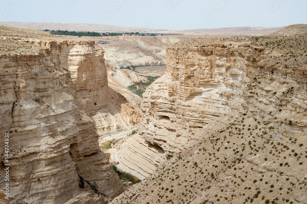 View of the canyon Ein Avdat in the Negev Desert, with green plants in it an a blue sky
