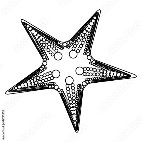 white background with monochrome silhouette of starfish vector illustration