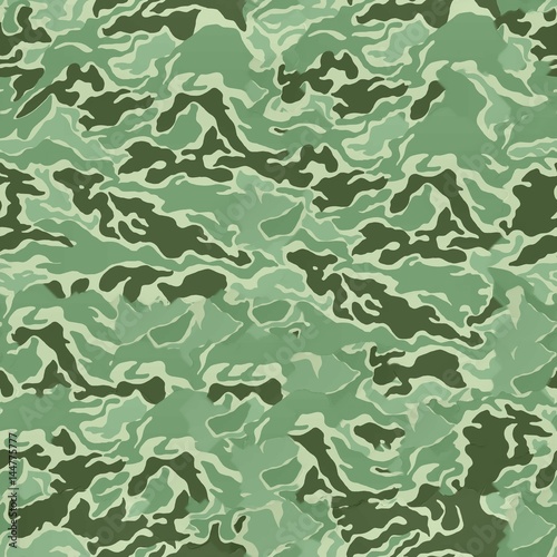 Camouflage Perfectly Seamless Texture 