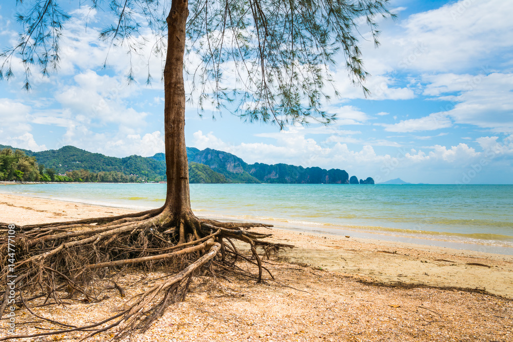 Amazing view of beautiful beach with tree in the foreground. Location: Krabi, Thailand, Andaman Sea. Artistic picture. Beauty world. Amazing view of beautiful beach with tree in the foreground. Location: Krabi, Thailand, Andaman Sea. Artistic picture. Beauty world.