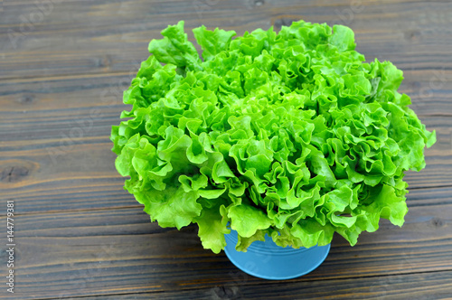 Fresh green lettuce salad in the bowl on wooden background