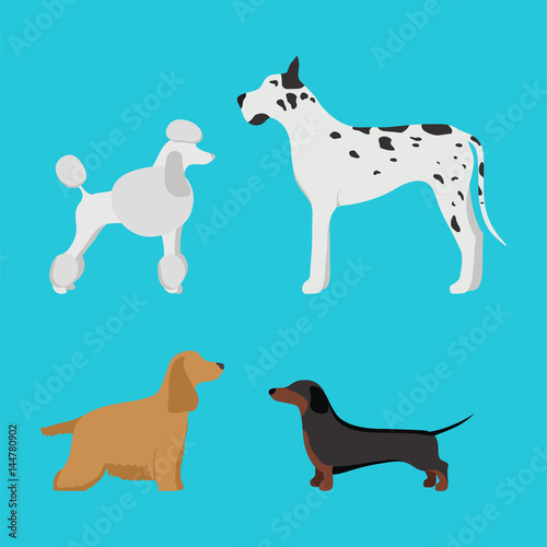 Funny cartoon dog character bread in cartoon style vector illustration.