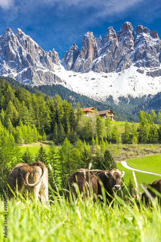 Foto Villnösstal in Südtirol, Blick zur Geisslergruppe