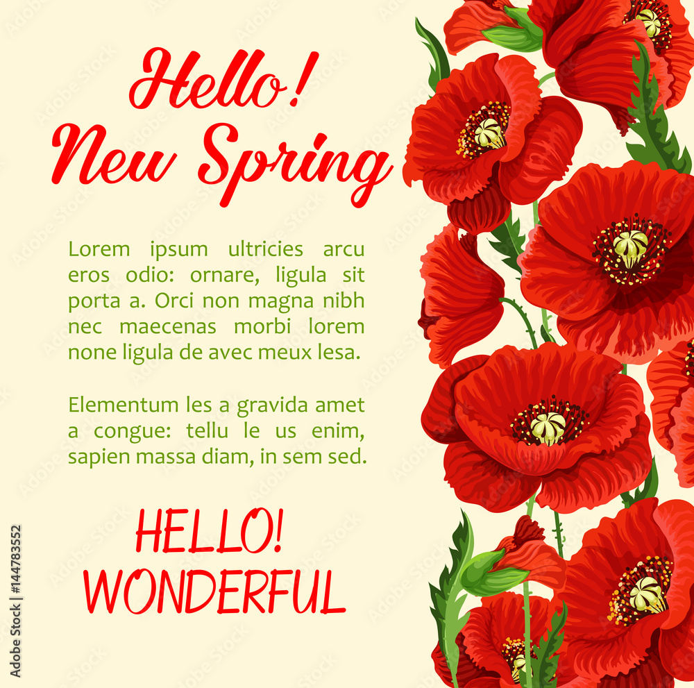 Vector poster of poppy flowers Hello Spring quote Vector poster of poppy flowers Hello Spring quote
