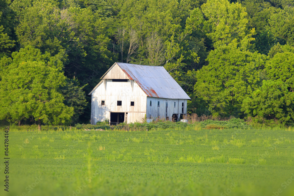 Obraz premium White barn in summer time in rural Indiana