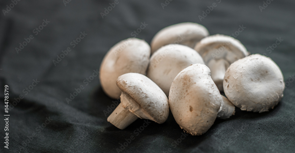 Button mushrooms against black background Button mushrooms against black background