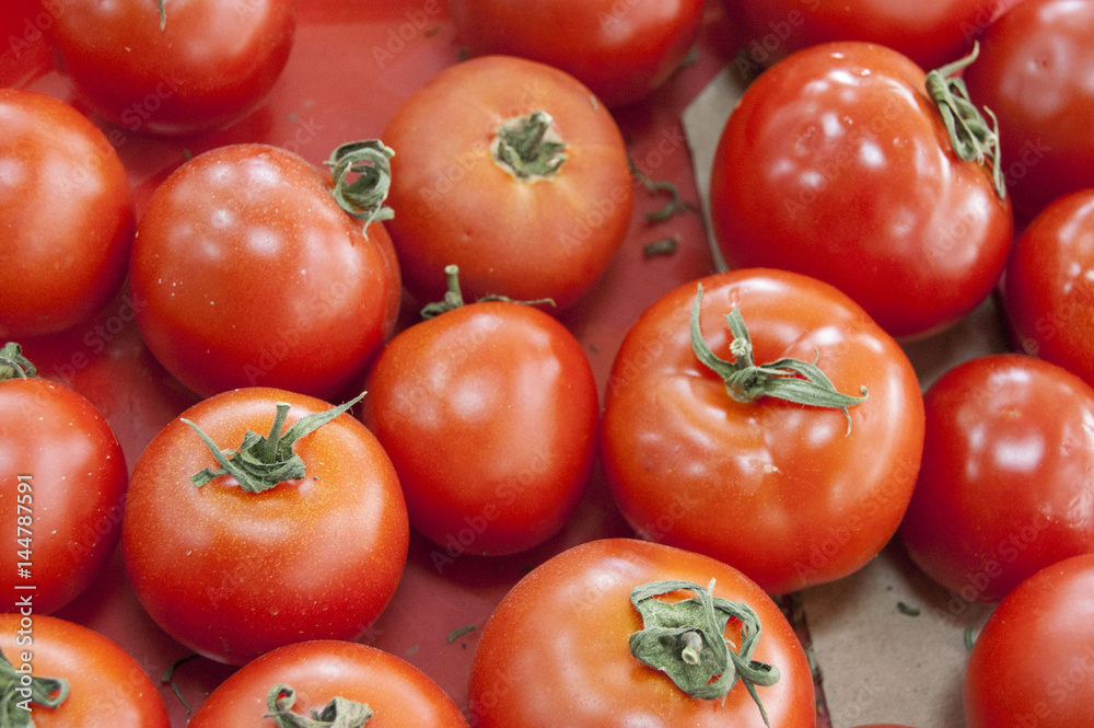 tomatoes tomatoes