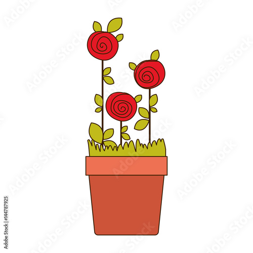 colorful drawing roses planted with leaves in flowerpot vector illustration
