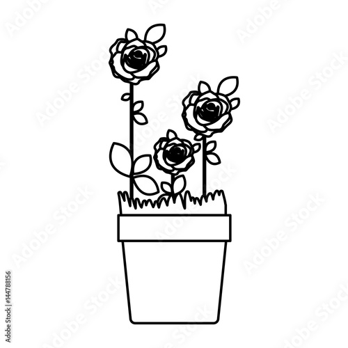 silhouette roses planted with leaves in flowerpot vector illustration