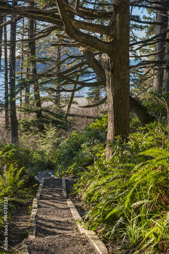 The Wooden Foot Path down to Second Beach and the Pacific Ocean