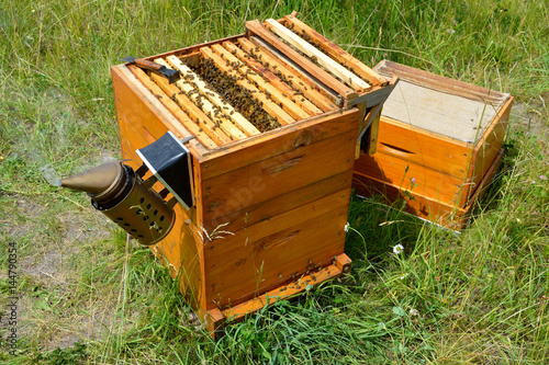 Langstroth beehive inspection with chisel and smoker photo