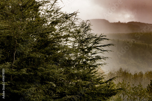 paisaje