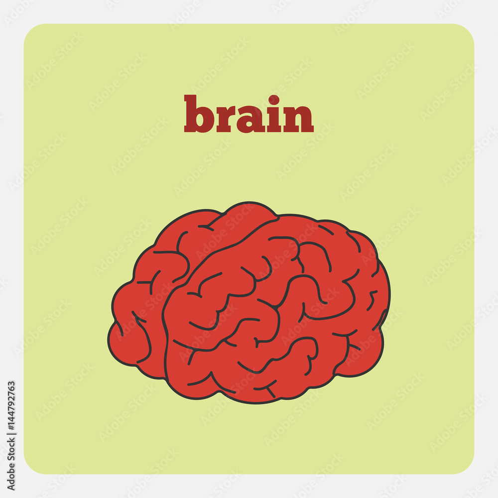 illustration brain illustration brain