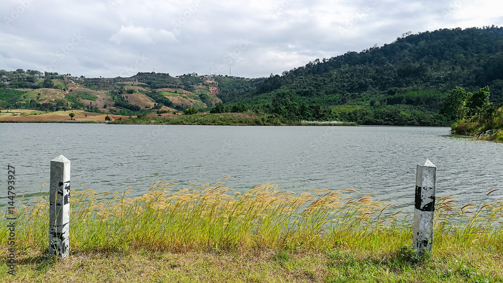 Obraz premium View from beside the river in windy day