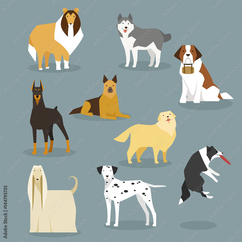 big size dogs various breeds flat design illustration set