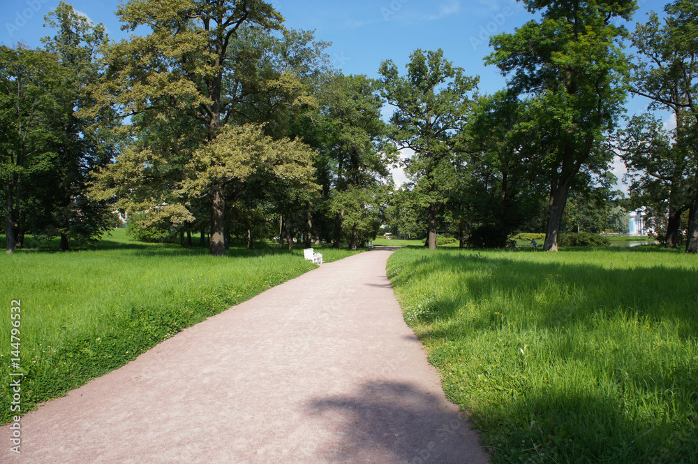 Landscape park at summer with green and footpath