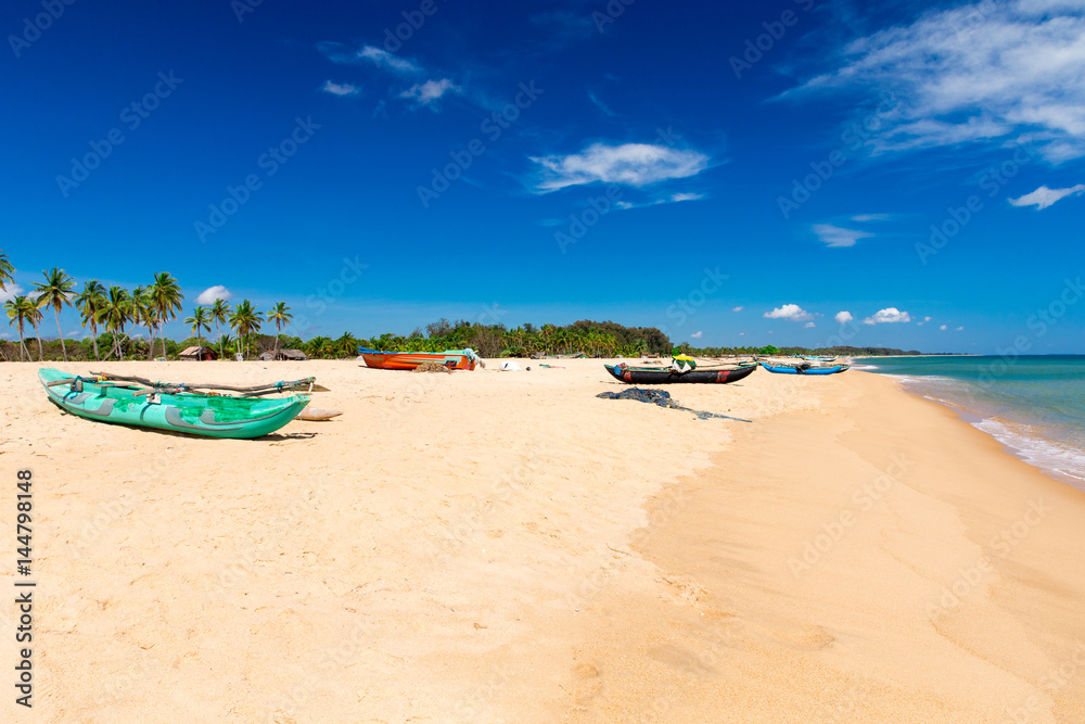 tropical beach