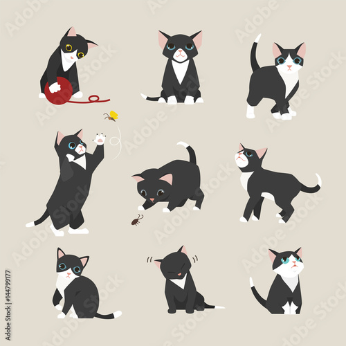 black baby cat kitten illustration set