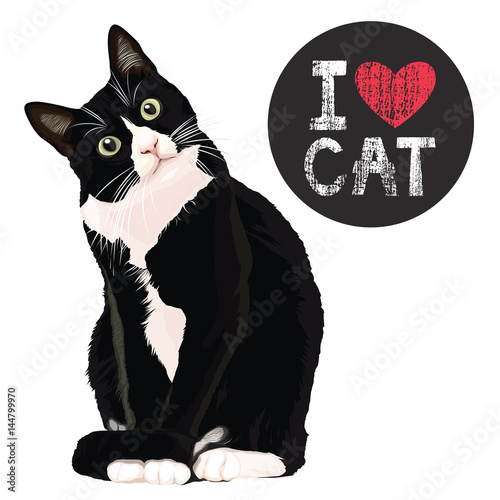 I love cat