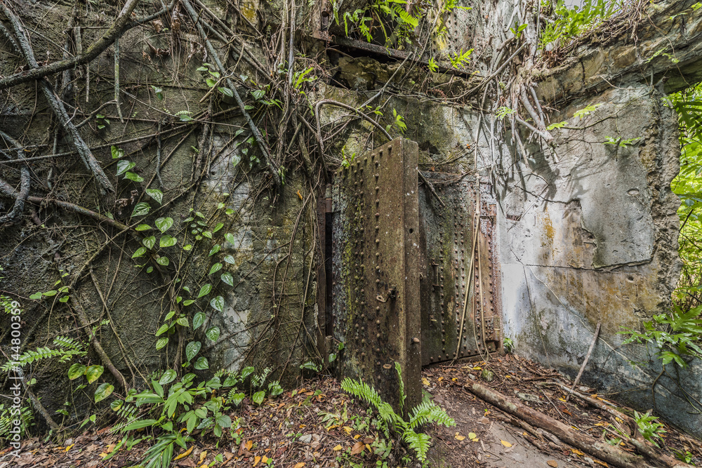 Fototapeta premium パラオ共和国 ペリリュー島