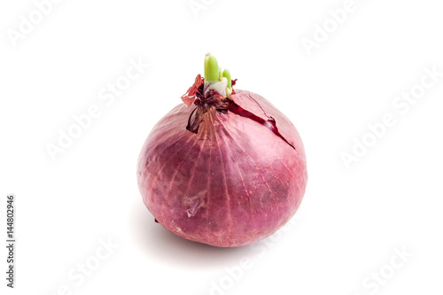 Indian shallot on white background isolated
