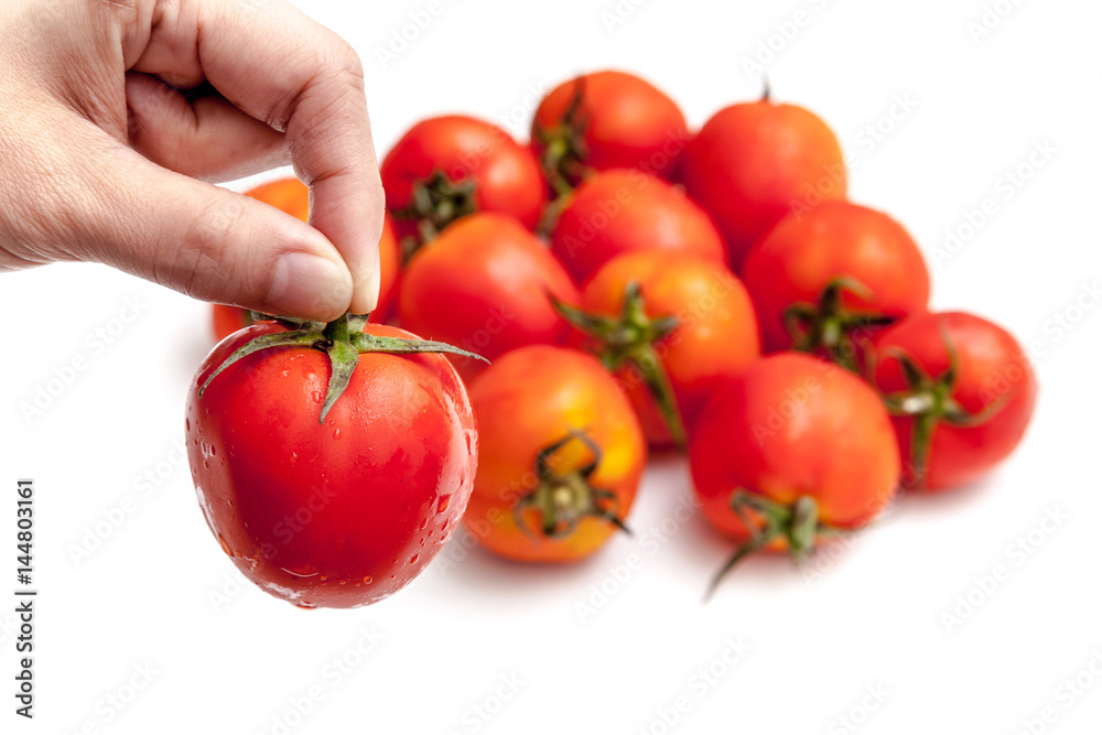 Pick one of tomatoes on white background isolated