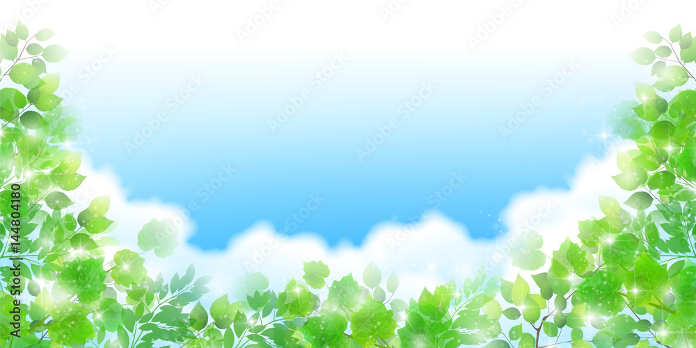 新緑 葉 春 背景 新緑 葉 春 背景