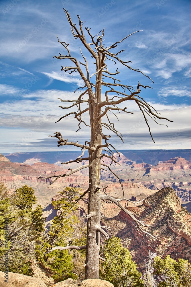 morning light sunrise at Grand Canyon, Arizona, USA morning light sunrise at Grand Canyon, Arizona, USA