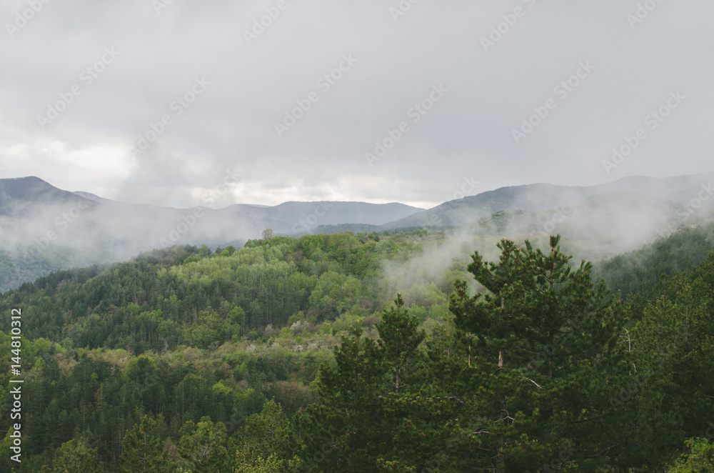 Low Rain Clouds Above Mountain With Pine Tree Forest Low Rain Clouds Above Mountain With Pine Tree Forest