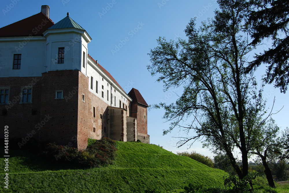 Obraz premium Sandomierz, Zamek.