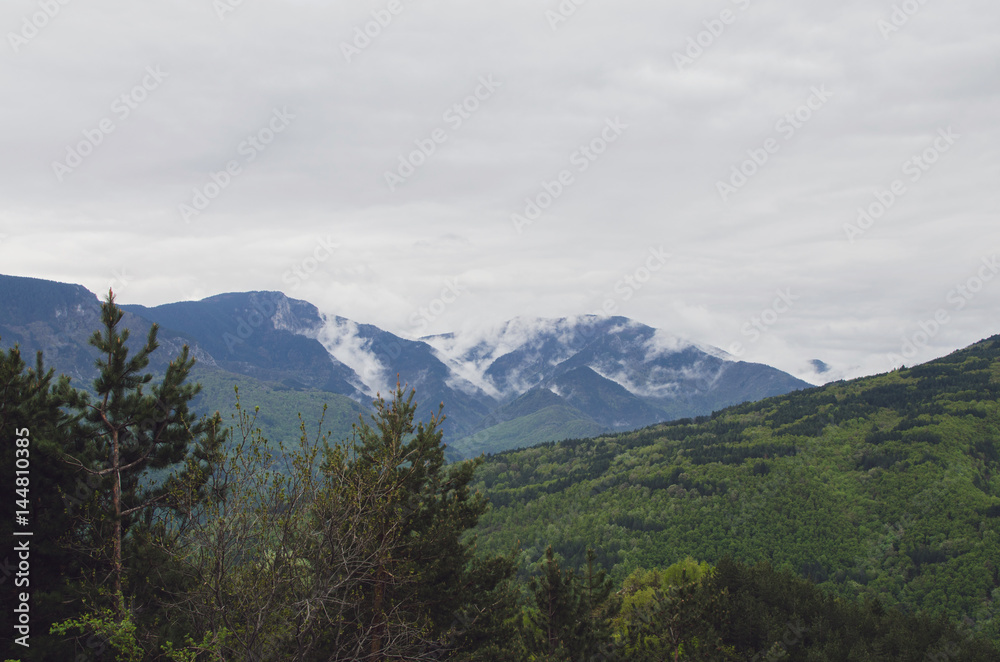 Low Rain Clouds Above Mountain With Pine Tree Forest Low Rain Clouds Above Mountain With Pine Tree Forest