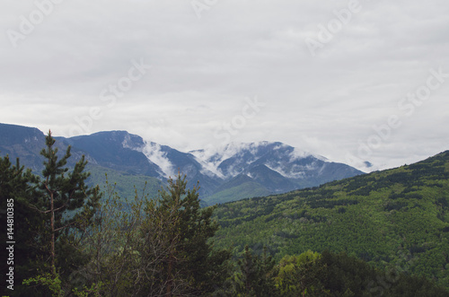 Low Rain Clouds Above Mountain With Pine Tree Forest 