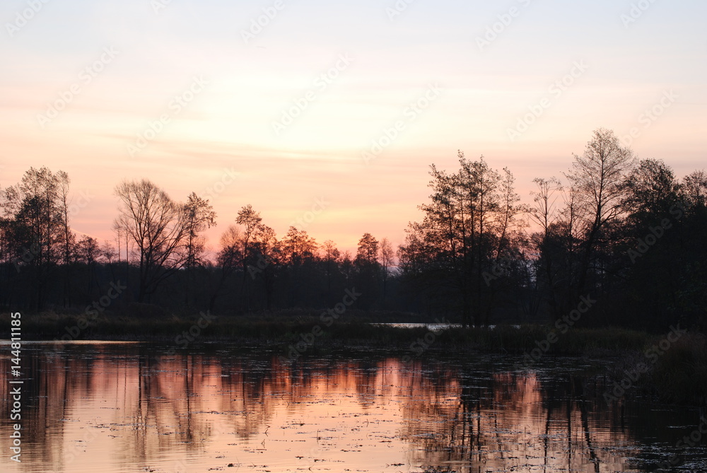 Fototapeta premium Chruslanki Jozefowskie, Swit na 